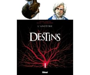 Destins - Tome 11